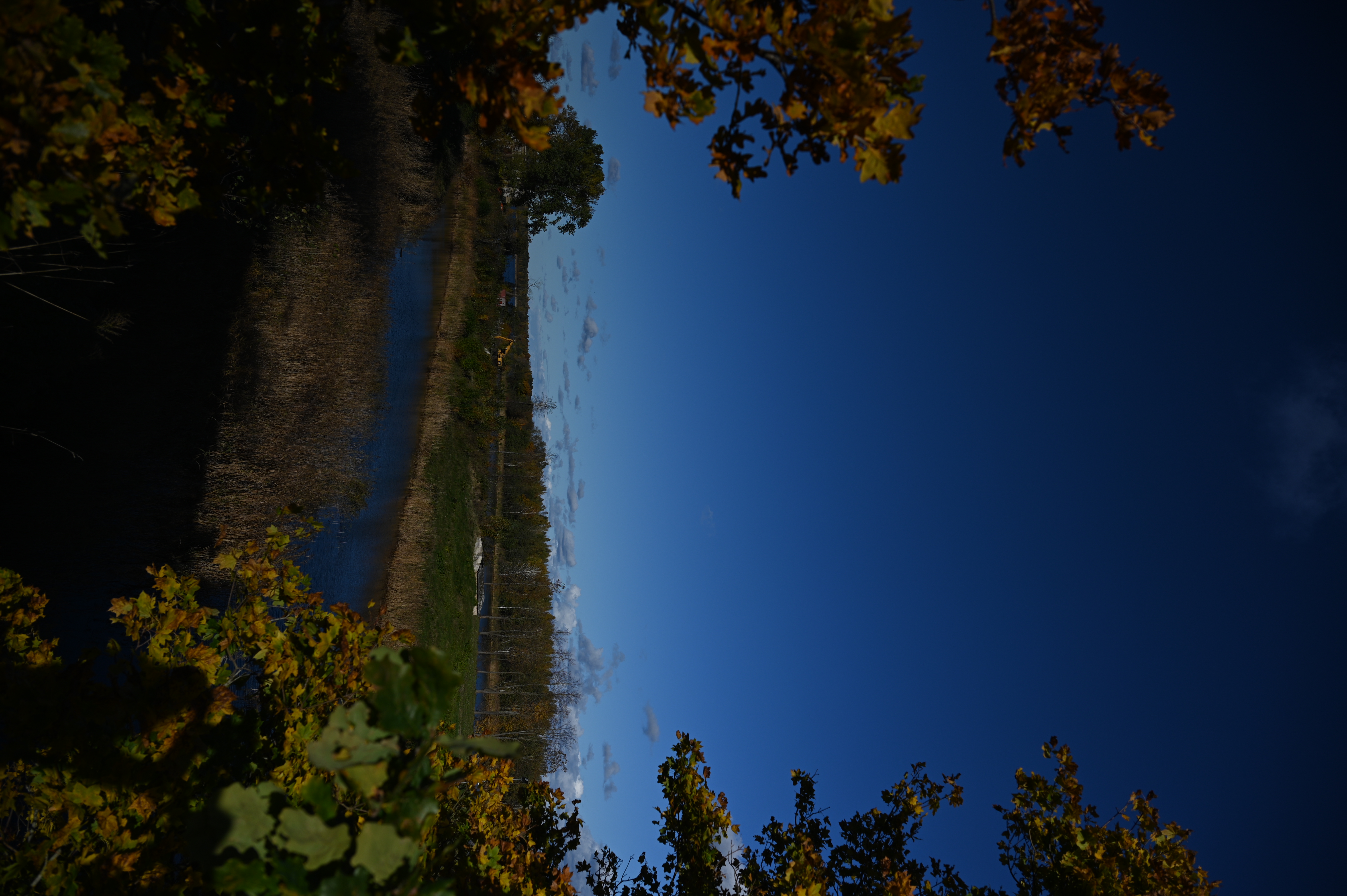 2025/10/18 - walk/DSC_0037.JPG